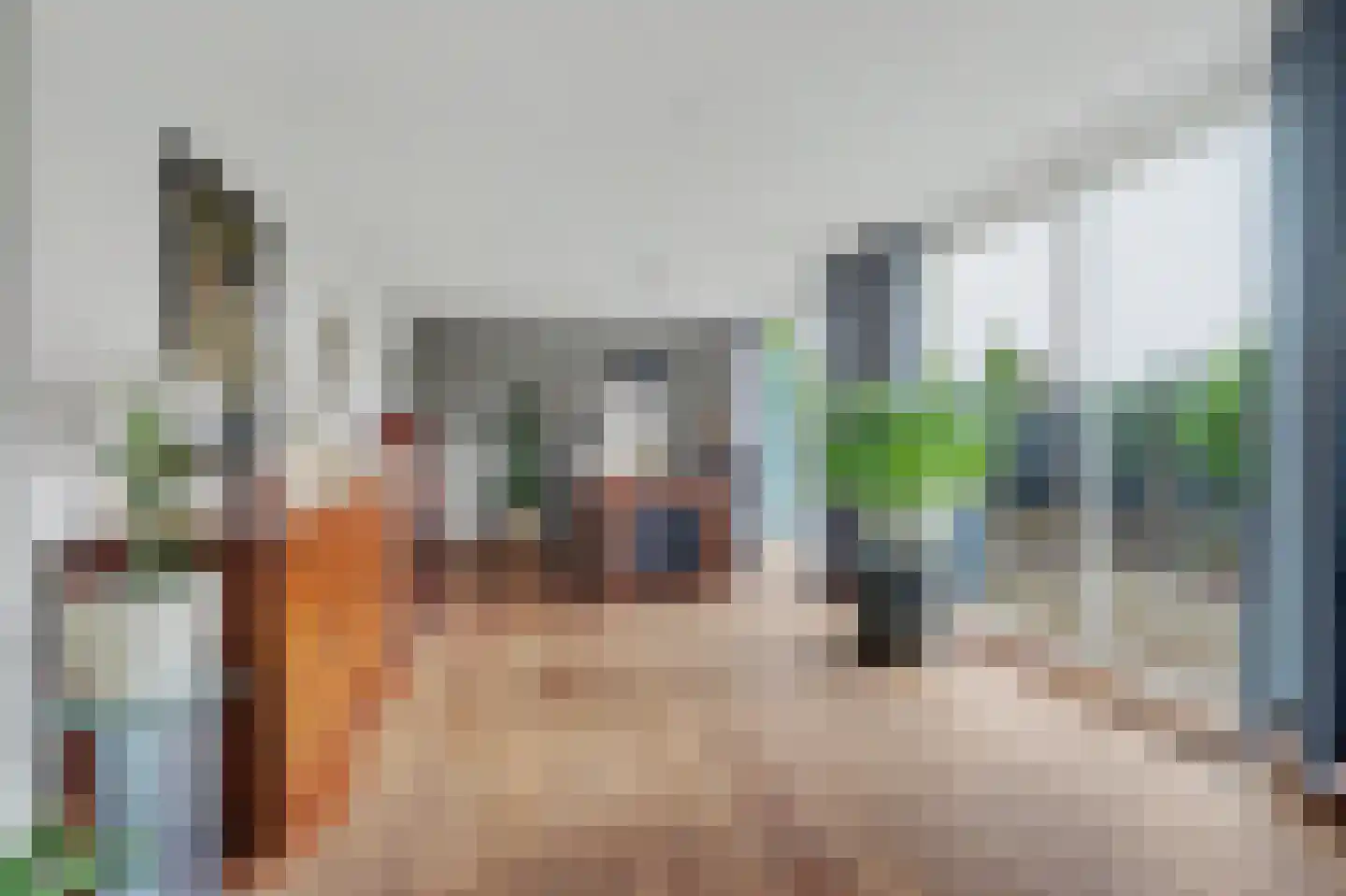 Lingekant 5 Ochten thumbnail 17