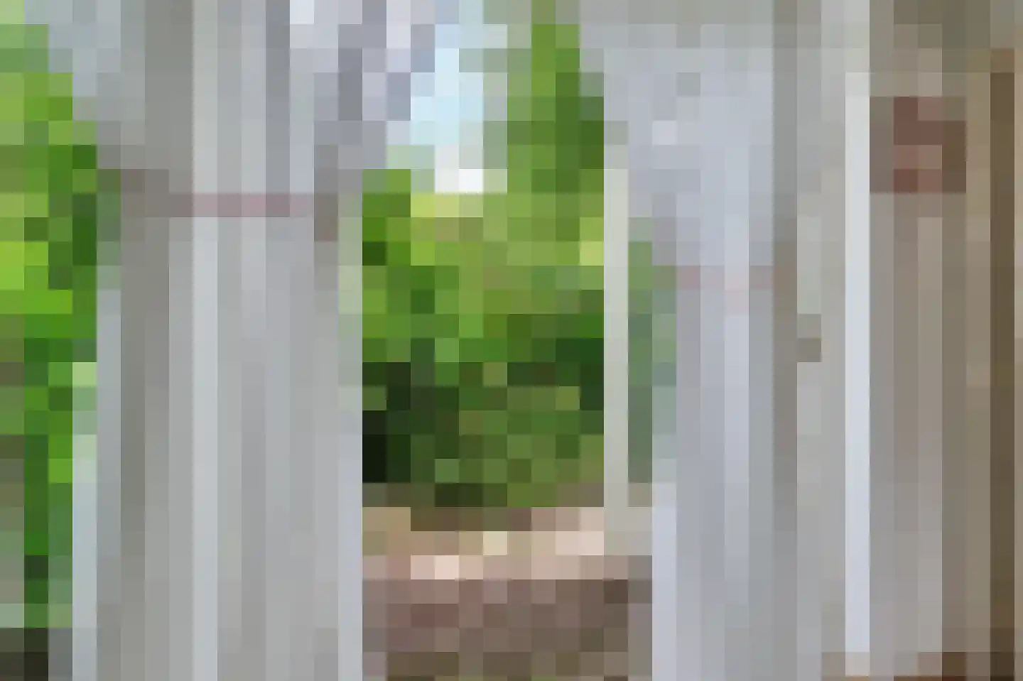 Lingekant 5 Ochten thumbnail 26