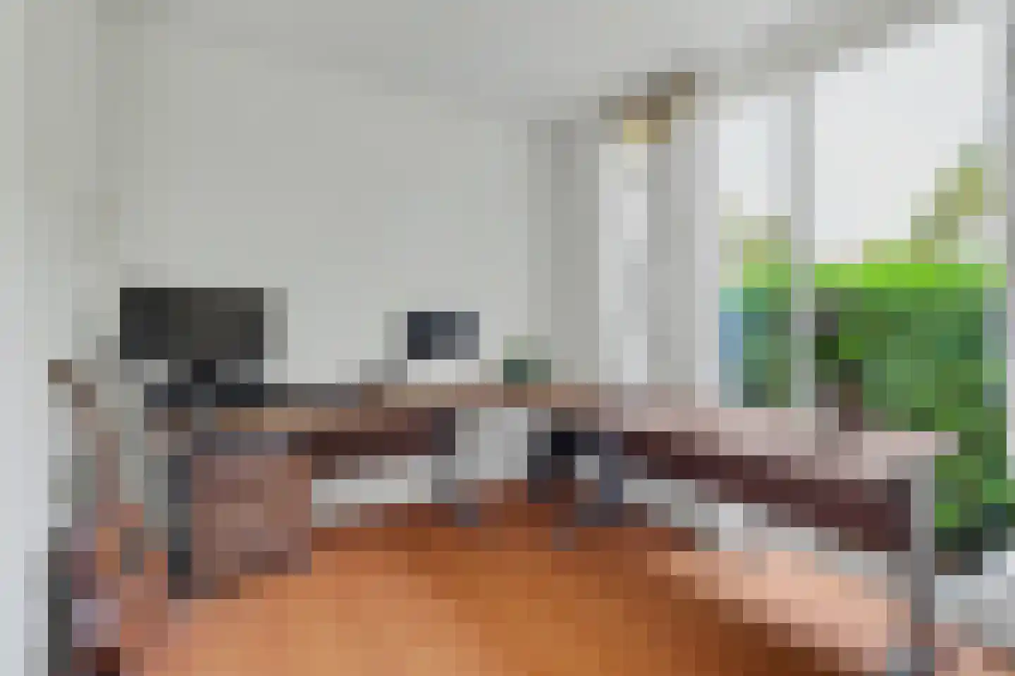 Lingekant 5 Ochten thumbnail 31
