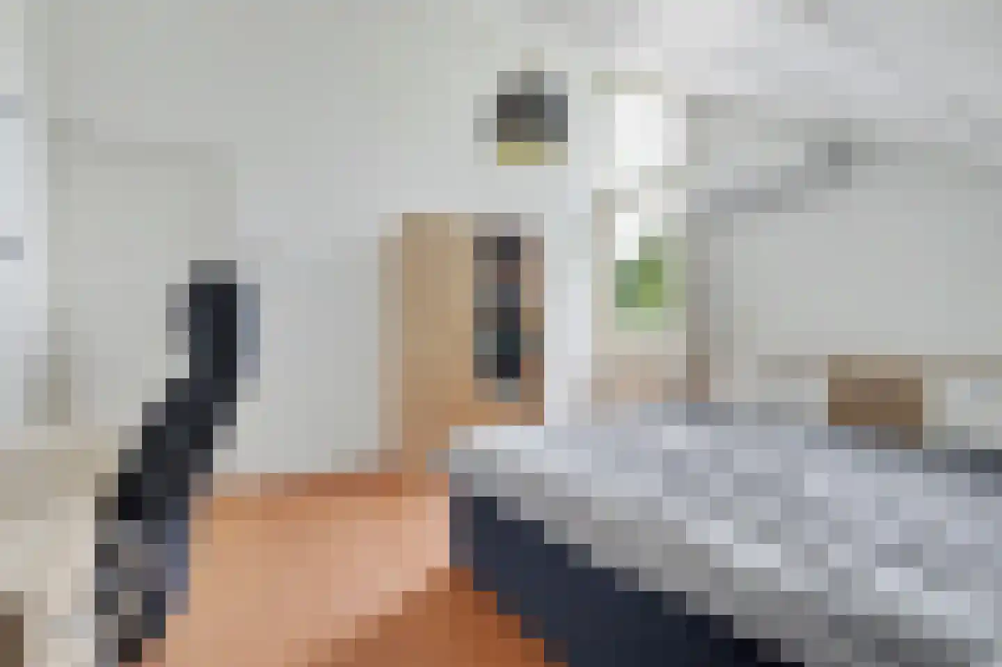 Lingekant 5 Ochten thumbnail 39