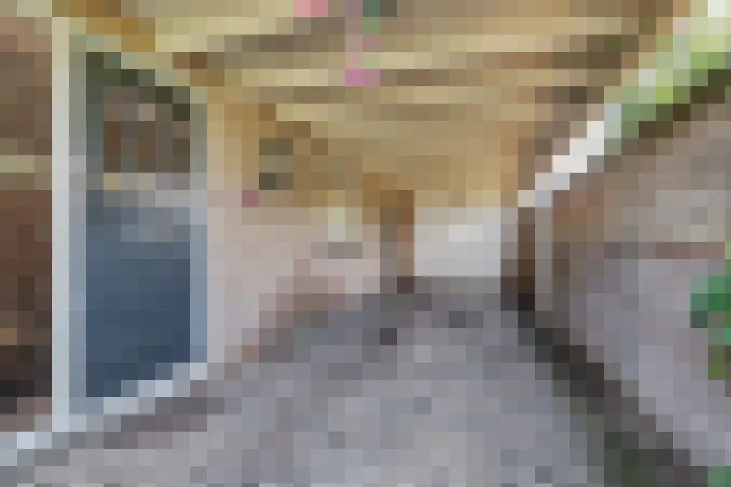 Lingekant 5 Ochten thumbnail 4
