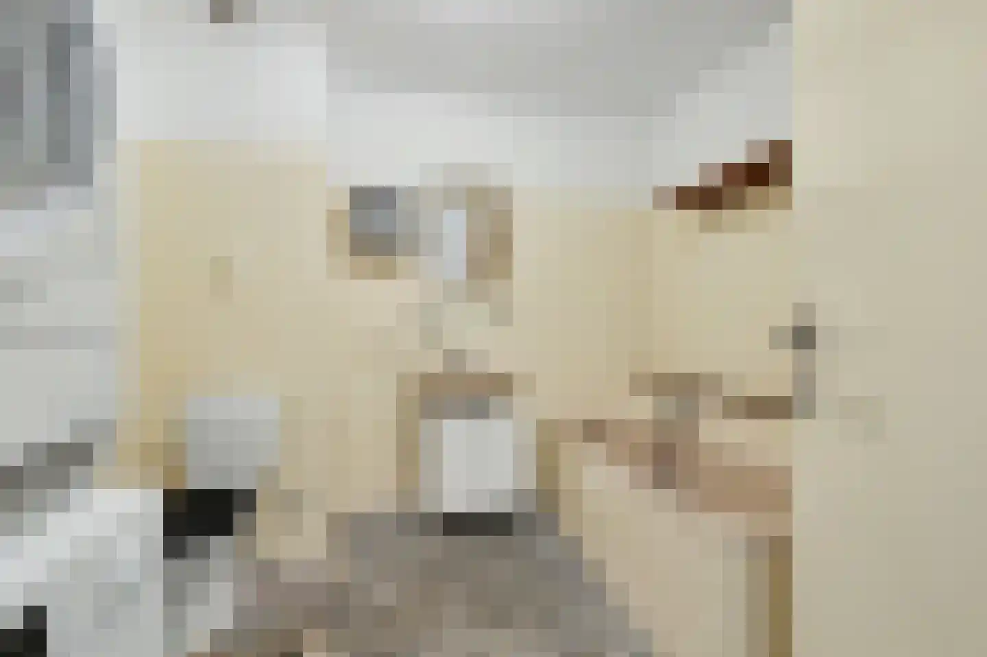 Lingekant 5 Ochten thumbnail 47