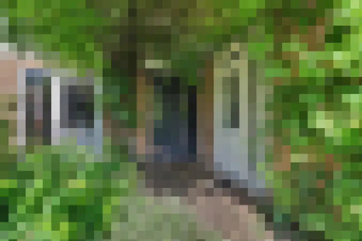 Lingekant 5 Ochten thumbnail 5