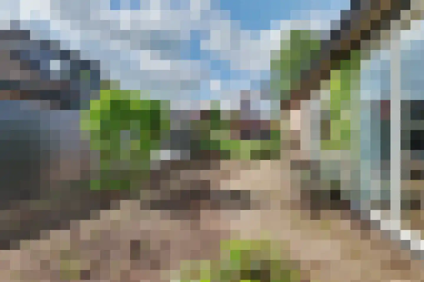 Lingekant 5 Ochten thumbnail 55