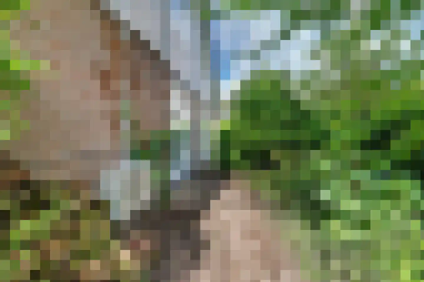 Lingekant 5 Ochten thumbnail 56
