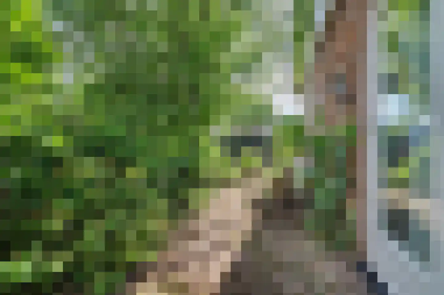 Lingekant 5 Ochten thumbnail 57