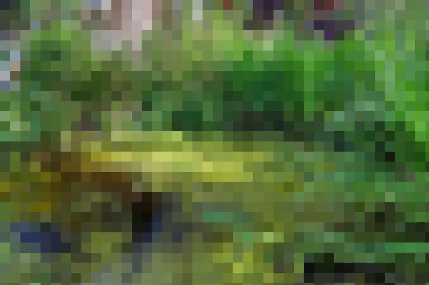 Lingekant 5 Ochten thumbnail 61