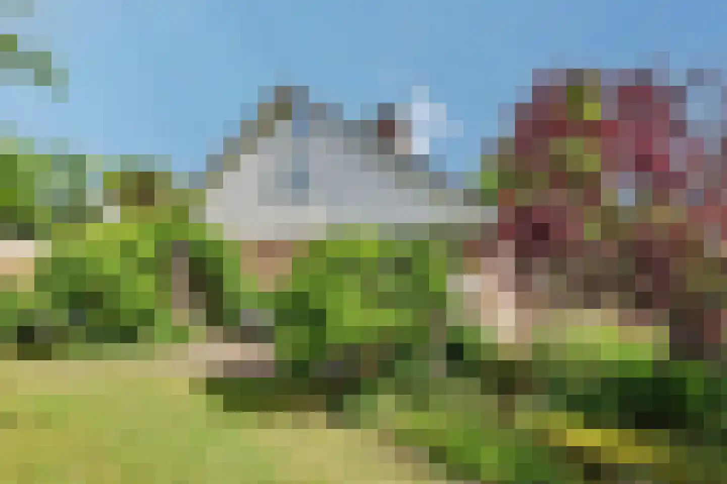 Lingekant 5 Ochten thumbnail 62