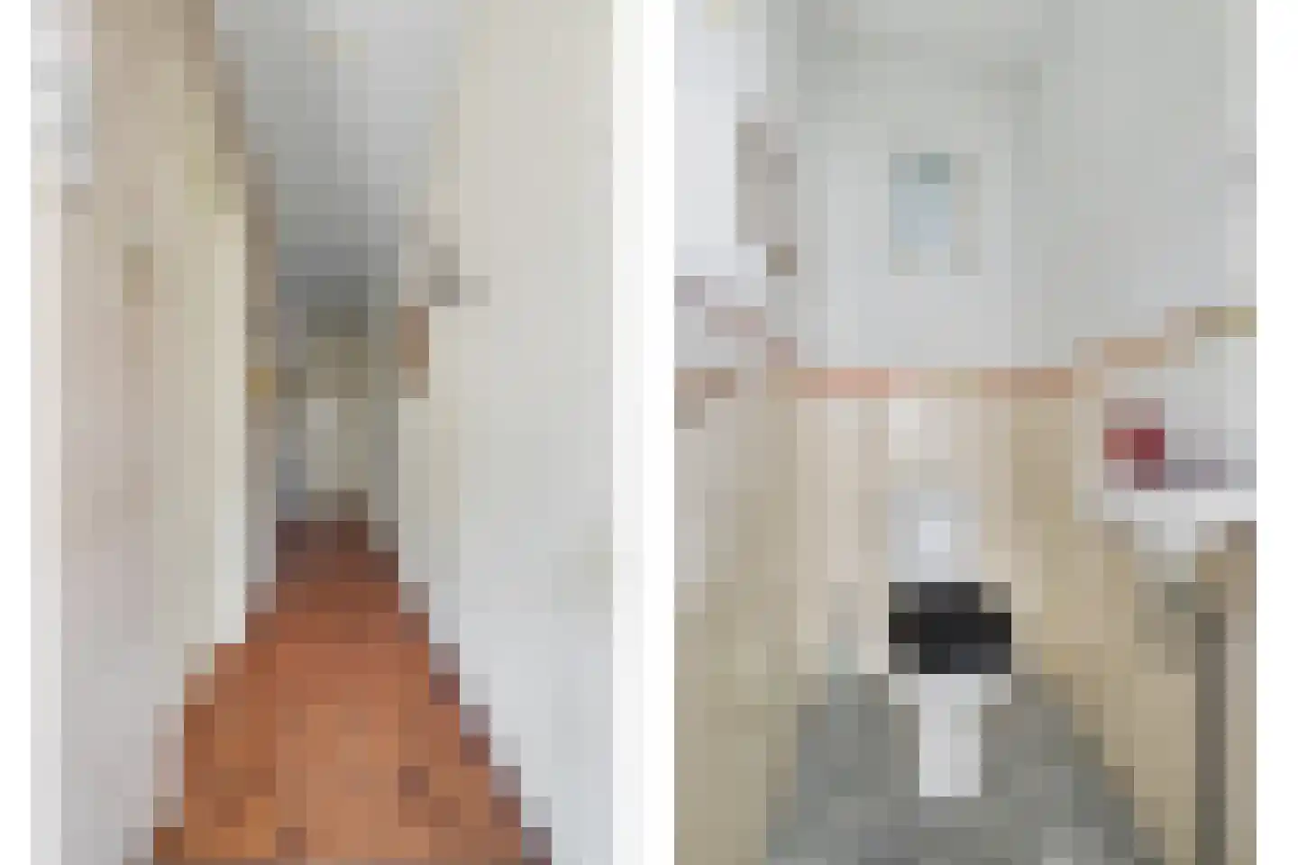 Lingekant 5 Ochten thumbnail 7