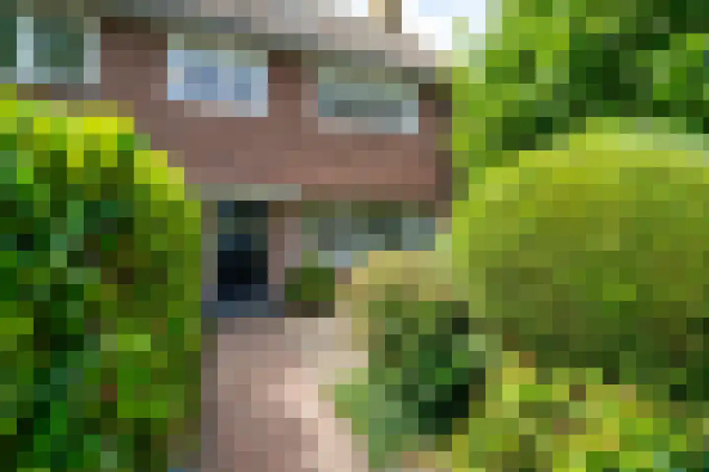 Lingenskamp 4 Laren thumbnail 34