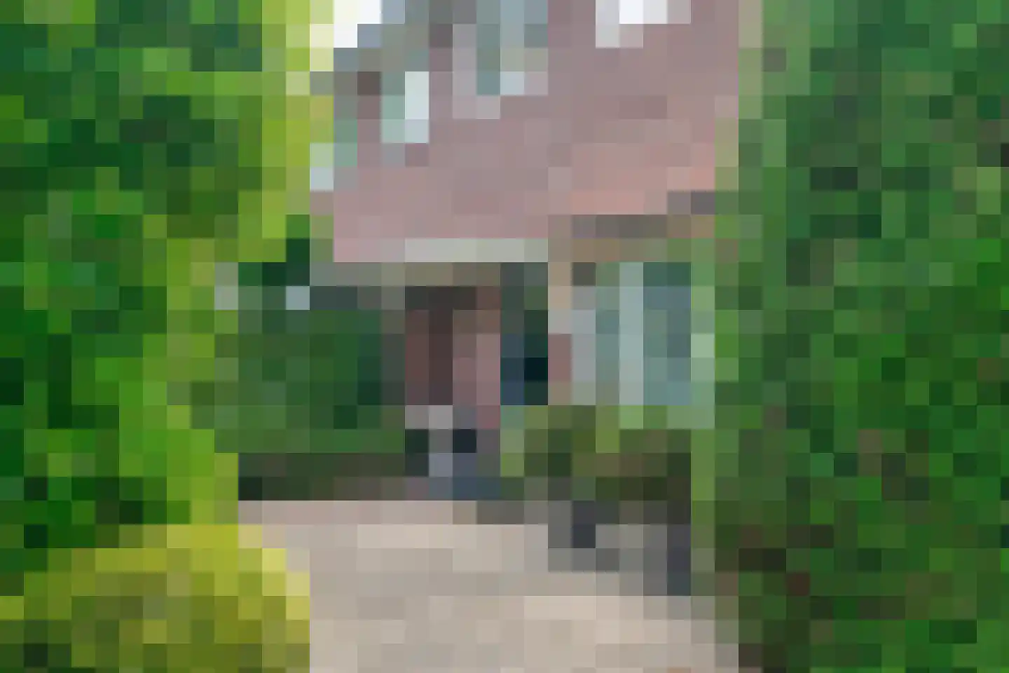 Lingenskamp 4 Laren thumbnail 5