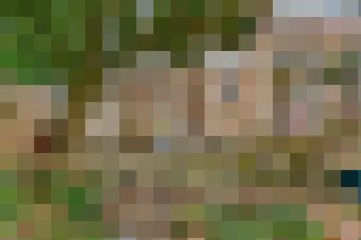 Lingerzijde 2 Edam thumbnail 11