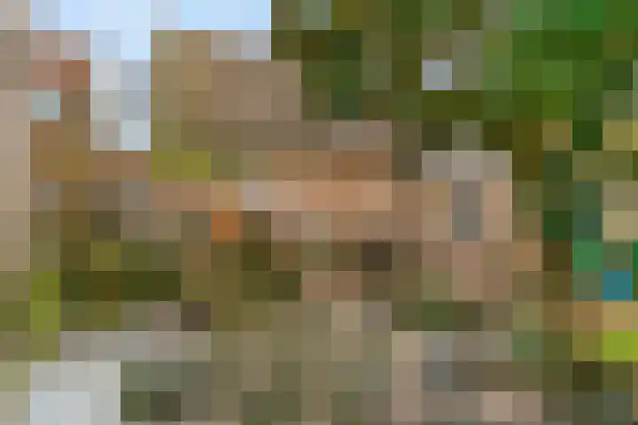 Lingerzijde 2 Edam thumbnail 13