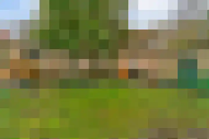 Lingerzijde 2 Edam thumbnail 14