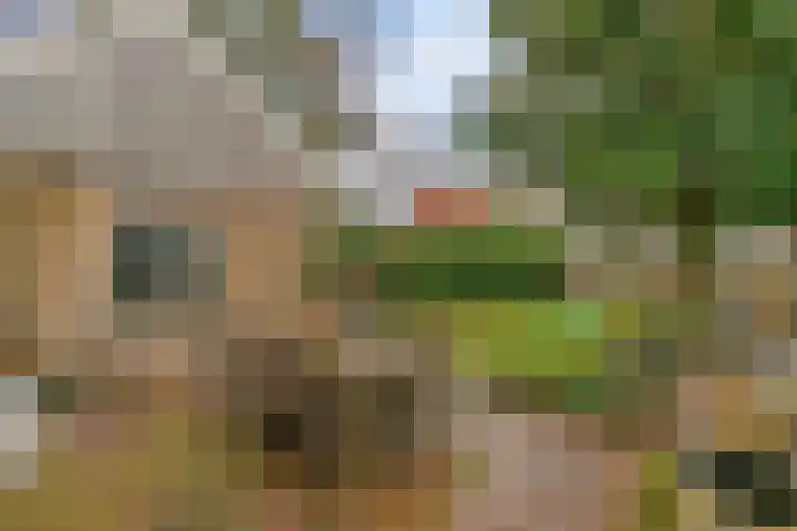 Lingerzijde 2 Edam thumbnail 16