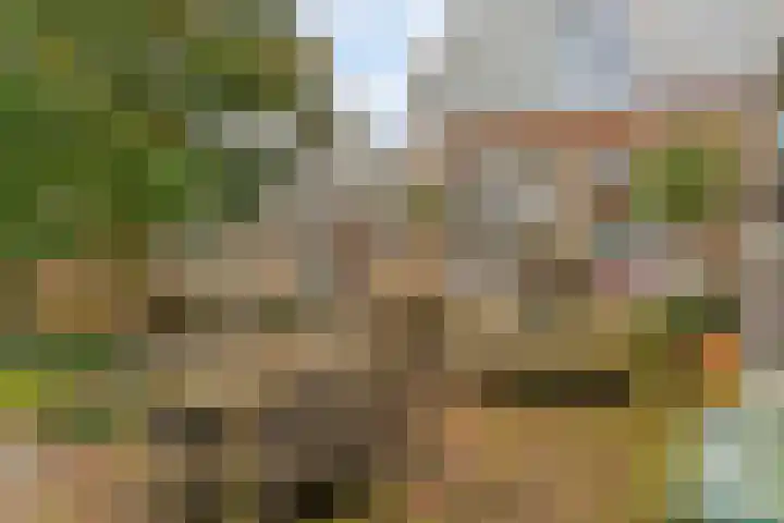 Lingerzijde 2 Edam thumbnail 9