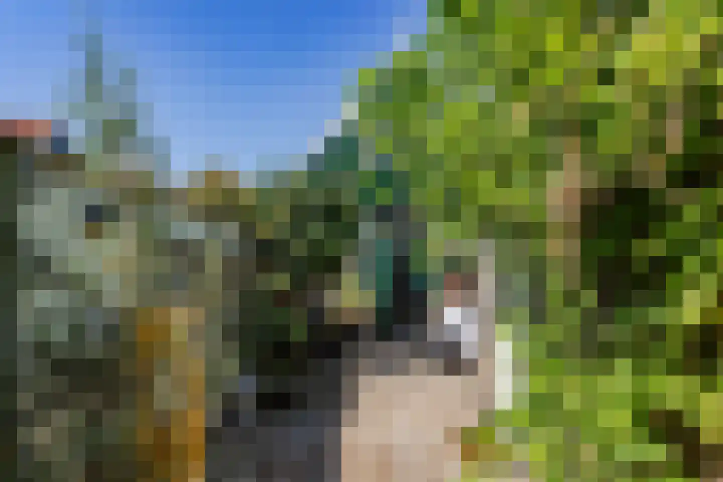 Lingerzijde 26 Edam thumbnail 28