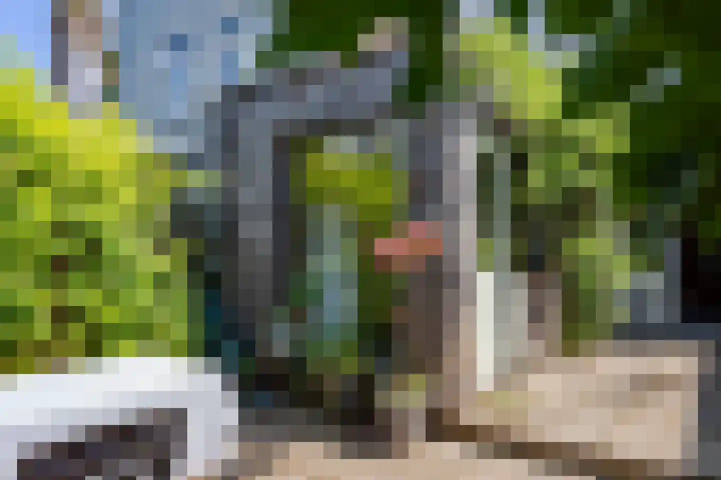 Lingerzijde 26 Edam thumbnail 29