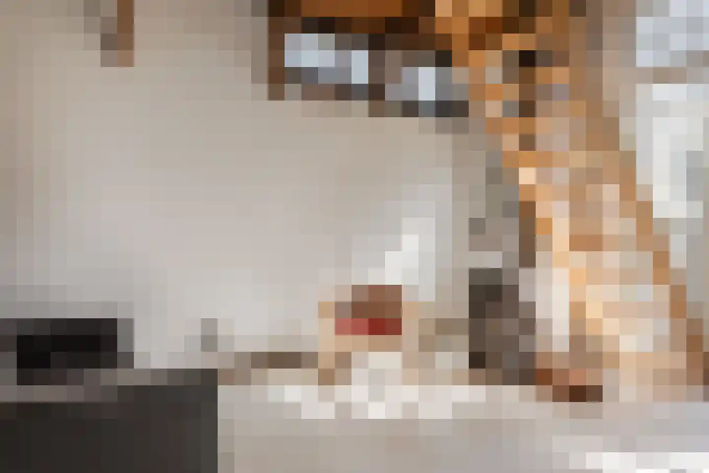 Lingerzijde 26 Edam thumbnail 38