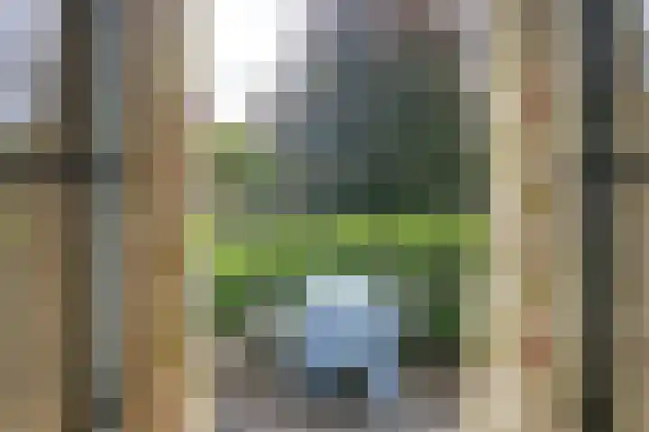 Lingerzijde 37 a Edam thumbnail 23