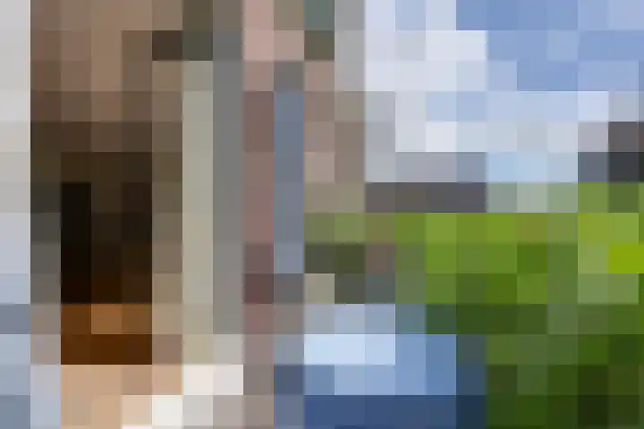 Lingerzijde 37 a Edam thumbnail 25