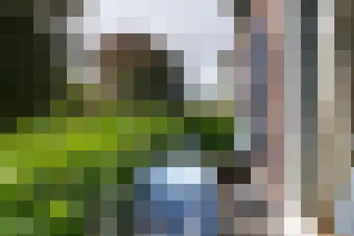 Lingerzijde 37 a Edam thumbnail 26