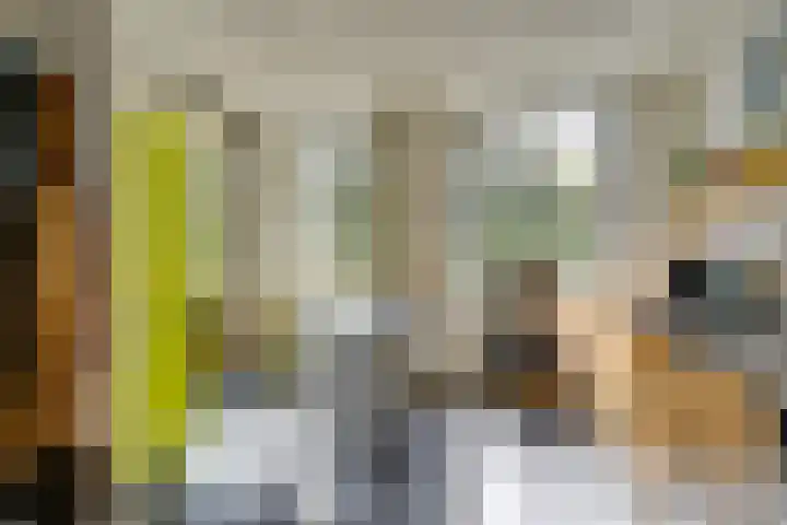 Lingerzijde 37 a Edam thumbnail 30