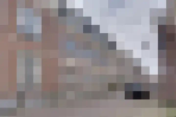 Lingerzijde 37 a Edam thumbnail 4