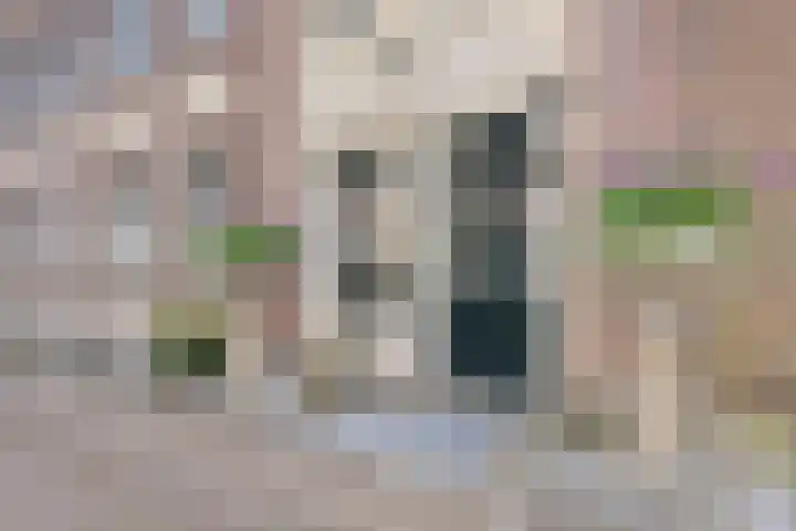 Lingerzijde 37 a Edam thumbnail 5