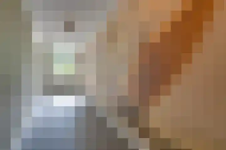 Lingerzijde 37 a Edam thumbnail 56