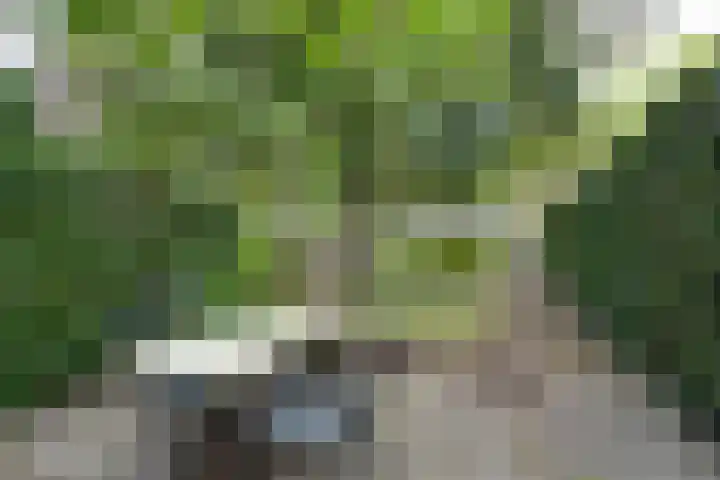 Lingerzijde 37 a Edam thumbnail 57