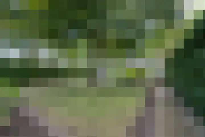 Lingerzijde 37 a Edam thumbnail 58