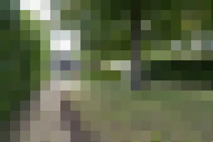 Lingerzijde 37 a Edam thumbnail 59