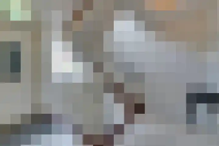 Lingerzijde 37 a Edam thumbnail 6