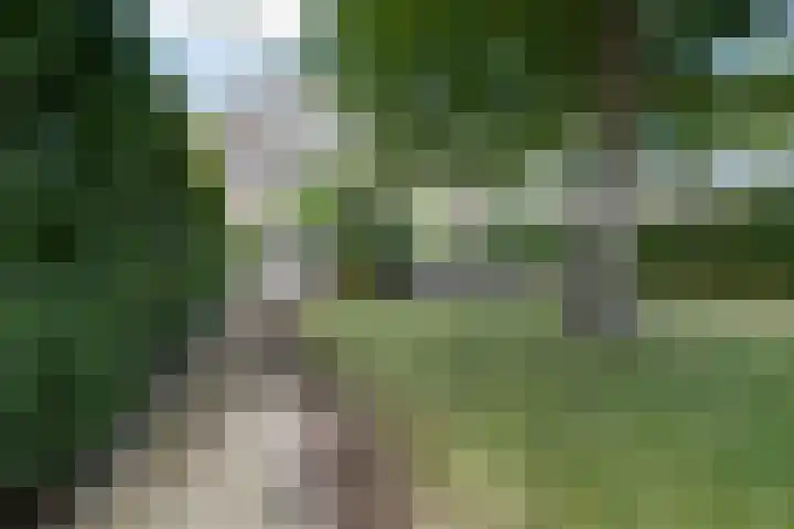Lingerzijde 37 a Edam thumbnail 60