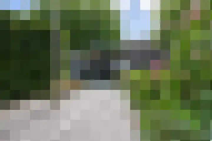 Lingerzijde 37 a Edam thumbnail 61