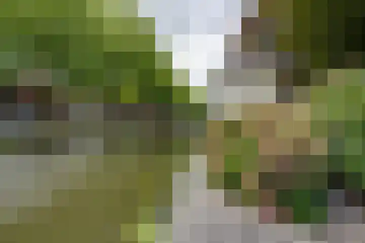 Lingerzijde 37 a Edam thumbnail 62