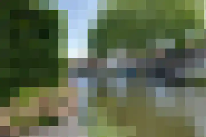 Lingerzijde 37 a Edam thumbnail 63