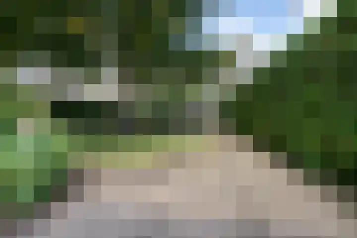Lingerzijde 37 a Edam thumbnail 64
