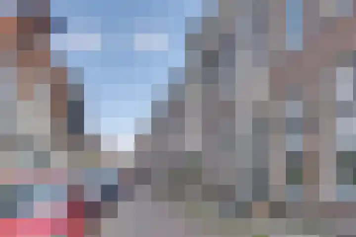 Lingerzijde 37 a Edam thumbnail 67