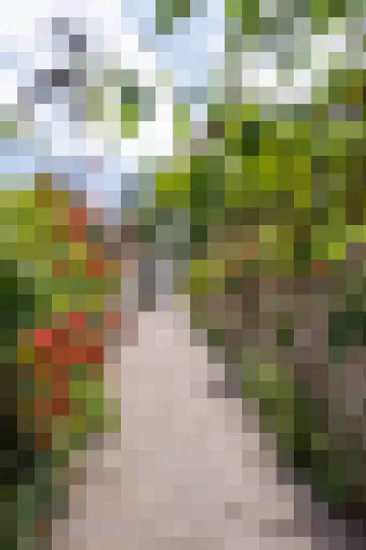 Lingerzijde 37 a Edam thumbnail 68