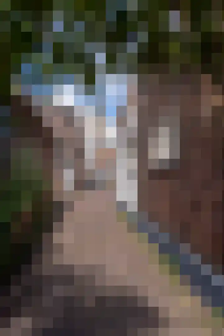 Lingerzijde 37 a Edam thumbnail 69