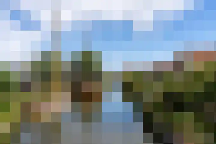 Lingerzijde 37 a Edam thumbnail 70