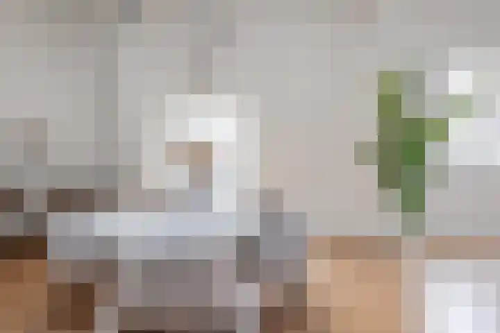 Lingerzijde 37 b Edam thumbnail 10