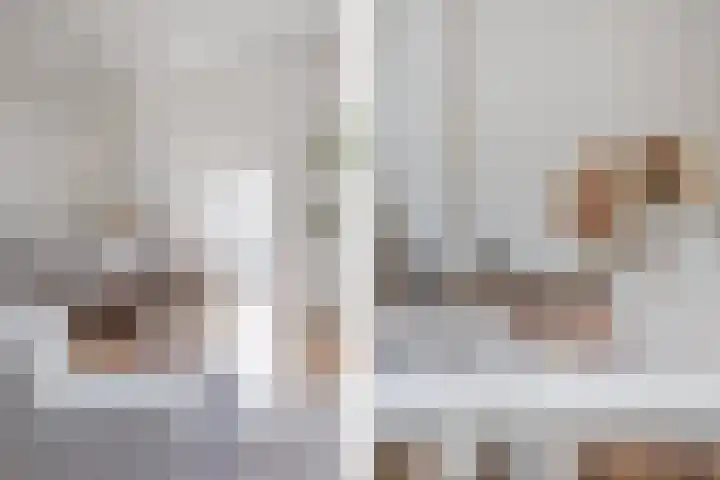 Lingerzijde 37 b Edam thumbnail 11