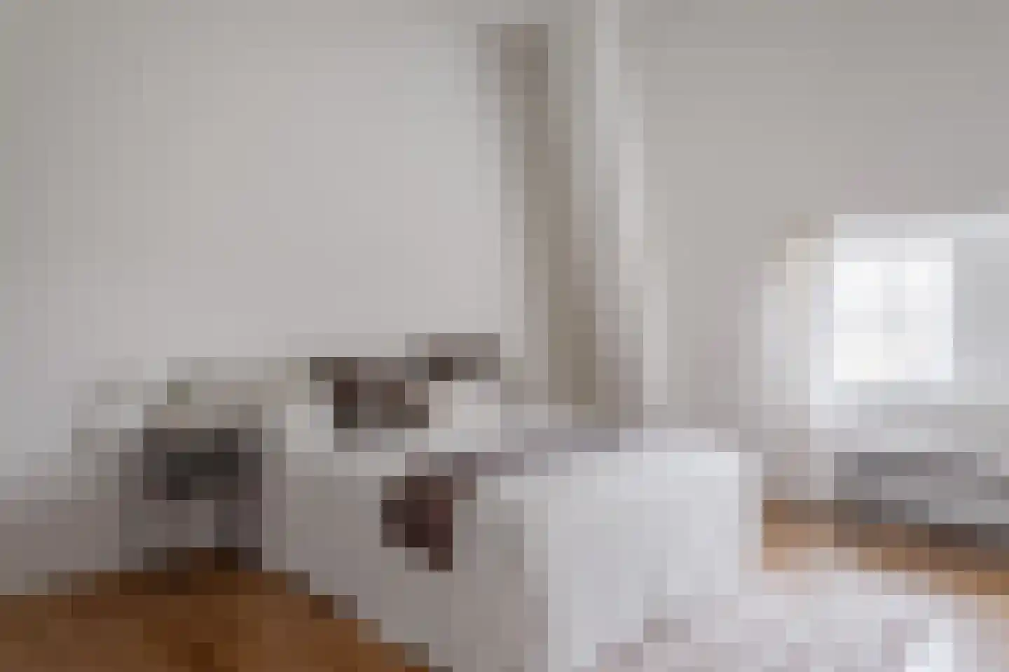 Lingerzijde 37 b Edam thumbnail 15