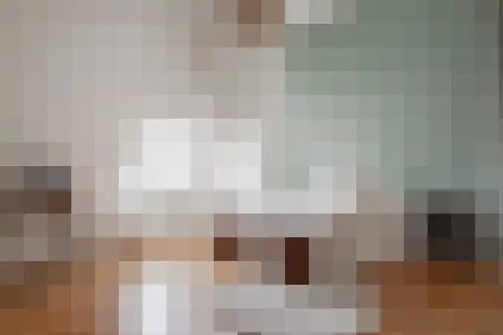 Lingerzijde 37 b Edam thumbnail 19