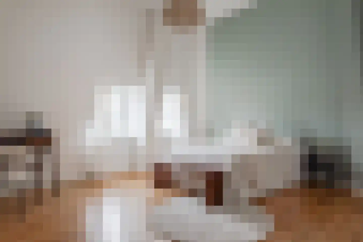 Lingerzijde 37 b Edam thumbnail 19
