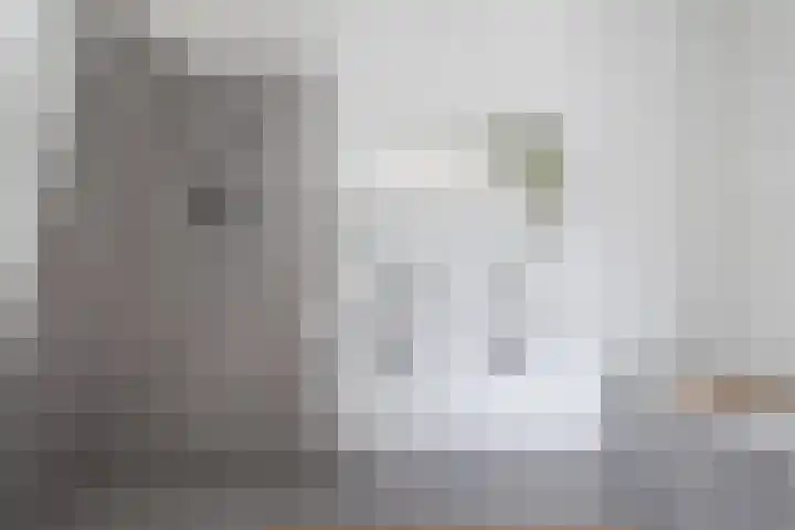 Lingerzijde 37 b Edam thumbnail 21