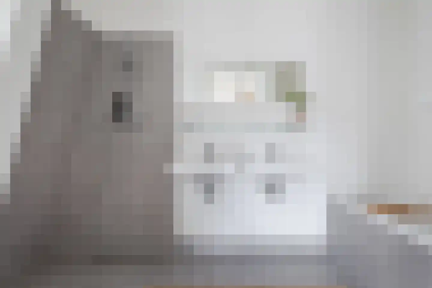 Lingerzijde 37 b Edam thumbnail 21